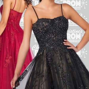 Prom Dress 918