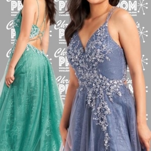 Prom Dress 909