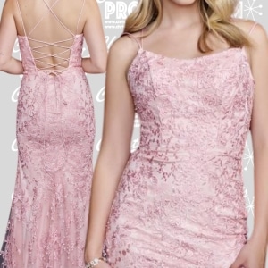 CB-6594ncp-Vermont-Prom-Dresses - 1