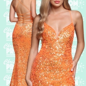 Prom Dress 903